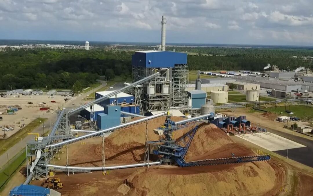 NEW BIO-MASS PLANT GETS GREEN LIGHT FROM P&G